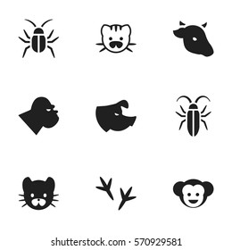Set Of 9 Editable Nature Icons. Includes Symbols Such As Baboon, Chimpanzee, Beast And More. Can Be Used For Web, Mobile, UI And Infographic Design.