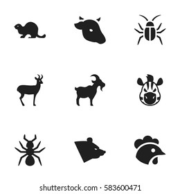 Set Of 9 Editable Nature Icons. Includes Symbols Such As Bull, Horse, Bedbug And More. Can Be Used For Web, Mobile, UI And Infographic Design.
