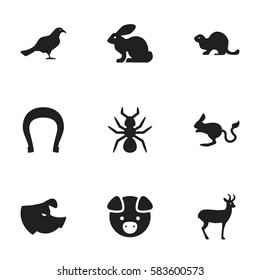 Set Of 9 Editable Nature Icons. Includes Symbols Such As Bedbug, Sow, Wildlife Castor And More. Can Be Used For Web, Mobile, UI And Infographic Design.