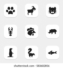 Set Of 9 Editable Nature Icons. Includes Symbols Such As Rhino, Skunk, Shark And More. Can Be Used For Web, Mobile, UI And Infographic Design.