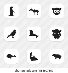 Set Of 9 Editable Nature Icons. Includes Symbols Such As Night Fowl, Eagle, Sea Calf And More. Can Be Used For Web, Mobile, UI And Infographic Design.