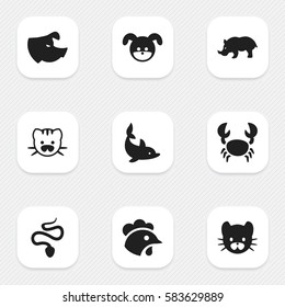 Set Of 9 Editable Nature Icons. Includes Symbols Such As Lobster, Serpent, Feline And More. Can Be Used For Web, Mobile, UI And Infographic Design.