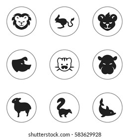 Set Of 9 Editable Nature Icons. Includes Symbols Such As Skunk, Beast, Sow And More. Can Be Used For Web, Mobile, UI And Infographic Design.