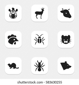 Set Of 9 Editable Nature Icons. Includes Symbols Such As Cockroach, Wildlife Castor, Bull And More. Can Be Used For Web, Mobile, UI And Infographic Design.