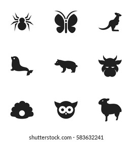 Set Of 9 Editable Nature Icons. Includes Symbols Such As Night Fowl, Conch, Sea Calf And More. Can Be Used For Web, Mobile, UI And Infographic Design.