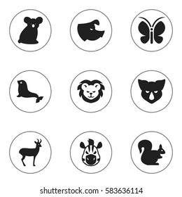 Set Of 9 Editable Nature Icons. Includes Symbols Such As Moth, Wild Rodent, Australian Bear And More. Can Be Used For Web, Mobile, UI And Infographic Design.