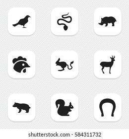 Set Of 9 Editable Nature Icons. Includes Symbols Such As Wild Rodent, Rooster, Talisman And More. Can Be Used For Web, Mobile, UI And Infographic Design.