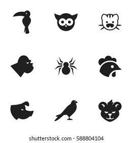 Set Of 9 Editable Nature Icons. Includes Symbols Such As Tiger, Tropical Bird, Arachind And More. Can Be Used For Web, Mobile, UI And Infographic Design.