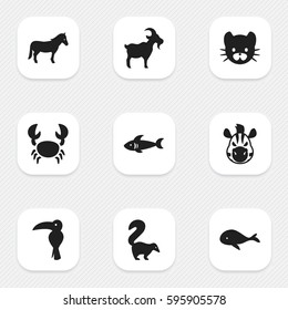 Set Of 9 Editable Nature Icons. Includes Symbols Such As Whale, Feline, Shark And More. Can Be Used For Web, Mobile, UI And Infographic Design.