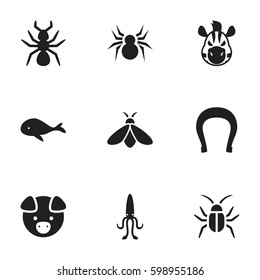 Set Of 9 Editable Nature Icons. Includes Symbols Such As Cockroach, Ocean Blower, Arachind And More. Can Be Used For Web, Mobile, UI And Infographic Design.