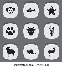 Set Of 9 Editable Nature Icons. Includes Symbols Such As Lamb, Sea Star, Wildlife Castor And More. Can Be Used For Web, Mobile, UI And Infographic Design.