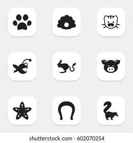 Set Of 9 Editable Nature Icons. Includes Symbols Such As Forepaw, Jerboa, Conch And More. Can Be Used For Web, Mobile, UI And Infographic Design.