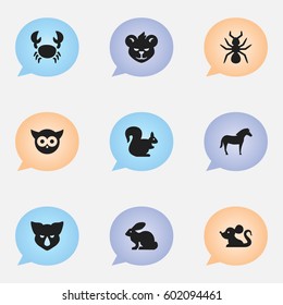 Set Of 9 Editable Nature Icons. Includes Symbols Such As Lobster, Rat, Bunny And More. Can Be Used For Web, Mobile, UI And Infographic Design.