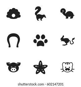 Set Of 9 Editable Nature Icons. Includes Symbols Such As Piggy, Forepaw, Conch And More. Can Be Used For Web, Mobile, UI And Infographic Design.