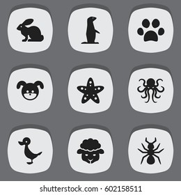 Set Of 9 Editable Nature Icons. Includes Symbols Such As Sheep, Tentacle, Forepaw And More. Can Be Used For Web, Mobile, UI And Infographic Design.
