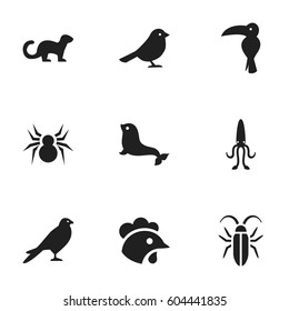 Set Of 9 Editable Nature Icons. Includes Symbols Such As Octopus, Arachind, Eagle And More. Can Be Used For Web, Mobile, UI And Infographic Design.