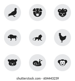 Set Of 9 Editable Nature Icons. Includes Symbols Such As Cock, Baboon, Bison And More. Can Be Used For Web, Mobile, UI And Infographic Design.