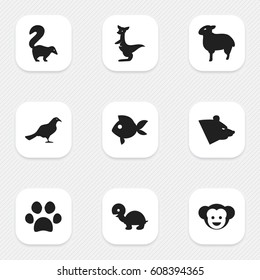 Set Of 9 Editable Nature Icons. Includes Symbols Such As Grizzly, Forepaw, Tortoise And More. Can Be Used For Web, Mobile, UI And Infographic Design.
