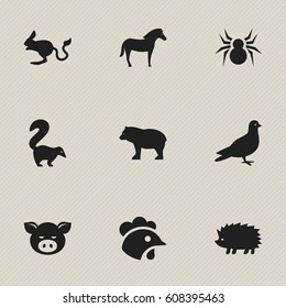 Set Of 9 Editable Nature Icons. Includes Symbols Such As Panda, Porcupine, Skunk. Can Be Used For Web, Mobile, UI And Infographic Design.