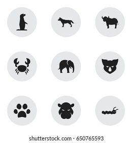 Set Of 9 Editable Nature Icons. Includes Symbols Such As Dog, Lobster, Rhinoceros And More. Can Be Used For Web, Mobile, UI And Infographic Design.