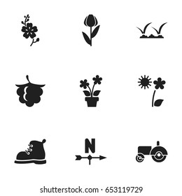 Set Of 9 Editable Planting Icons. Includes Symbols Such As Lawn, Daffodils, Blooming And More. Can Be Used For Web, Mobile, UI And Infographic Design.