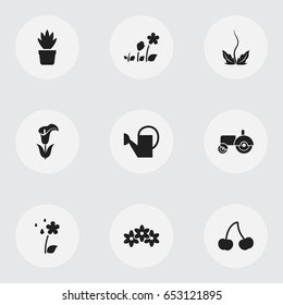 Set Of 9 Editable Planting Icons. Includes Symbols Such As Hotbed, Barley, Lily And More. Can Be Used For Web, Mobile, UI And Infographic Design.
