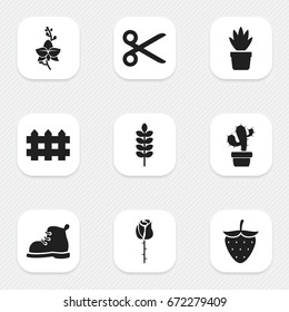 Set Of 9 Editable Planting Icons. Includes Symbols Such As Frond, Pot Bush, Strawberry And More. Can Be Used For Web, Mobile, UI And Infographic Design.