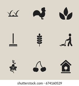 Set Of 9 Editable Planting Icons. Includes Symbols Such As Frond, Rooster, Blossom And More. Can Be Used For Web, Mobile, UI And Infographic Design.