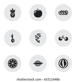 Set Of 9 Editable Vegetable Icons. Includes Symbols Such As Melon, Lemon Piece, Amusing Garlic And More. Can Be Used For Web, Mobile, UI And Infographic Design.
