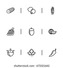Set Of 9 Editable Vegetable Icons. Includes Symbols Such As Grape, Pepper, Zucchini And More. Can Be Used For Web, Mobile, UI And Infographic Design.