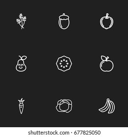 Set Of 9 Editable Vegetable Icons. Includes Symbols Such As Tropical Fruit, Duchess, Currant And More. Can Be Used For Web, Mobile, UI And Infographic Design.