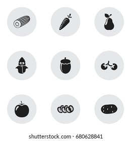 Set Of 9 Editable Vegetable Icons. Includes Symbols Such As Vegetable, Corn and More. Can Be Used For Web, Mobile, UI And Infographic Design.