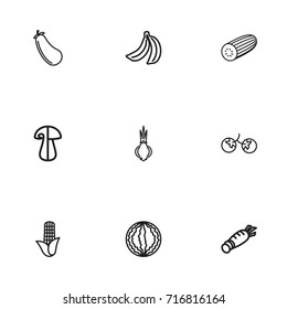 Set Of 9 Editable Vegetable Outline Icons. Includes Symbols Such As Zucchini, Banana, Berry And More. Can Be Used For Web, Mobile, UI And Infographic Design.