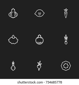 Set Of 9 Editable Vegetable Outline Icons. Includes Symbols Such As Cute Onion, Beet, Tropical Fruit And More. Can Be Used For Web, Mobile, UI And Infographic Design.