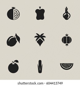 Set Of 9 Editable Vegetarian Icons. Includes Symbols Such As Bulb, Apricot, Paradise Apple And More. Can Be Used For Web, Mobile, UI And Infographic Design.