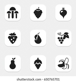 Set Of 9 Editable Vegetarian Icons. Includes Symbols Such As Sugar Basin, Avocado, Windfall And More. Can Be Used For Web, Mobile, UI And Infographic Design.