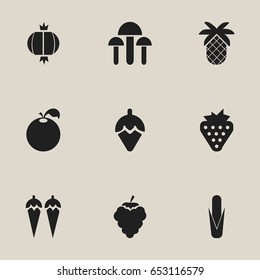 Set Of 9 Editable Vegetarian Icons. Includes Symbols Such As Chili, Maize, Grape And More. Can Be Used For Web, Mobile, UI And Infographic Design.