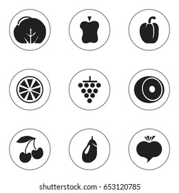 Set Of 9 Editable Vegetarian Icons. Includes Symbols Such As Sweet Pepper, Eggplant, Paradise Apple And More. Can Be Used For Web, Mobile, UI And Infographic Design.