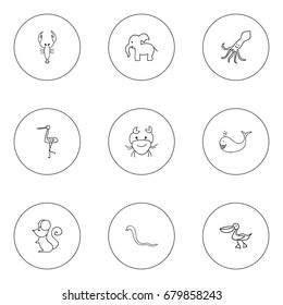 Set Of 9 Editable Zoo Doodles. Includes Symbols Such As Serpent, Tentacle, Elephant And More. Can Be Used For Web, Mobile, UI And Infographic Design.