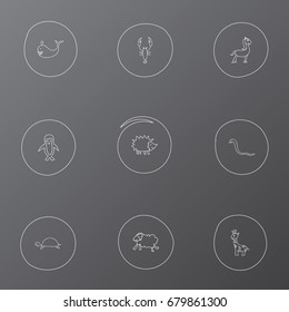 Set Of 9 Editable Zoo Doodles. Includes Symbols Such As Pony, Cachalot, Tall Animal And More. Can Be Used For Web, Mobile, UI And Infographic Design.