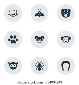 Set Of 9 Editable Zoo Icons. Includes Symbols Such As Bedbug, Talisman, Baboon And More. Can Be Used For Web, Mobile, UI And Infographic Design.
