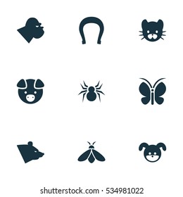 Set Of 9 Editable Zoo Icons. Includes Symbols Such As Chimpanzee, Moth, Grizzly And More. Can Be Used For Web, Mobile, UI And Infographic Design.