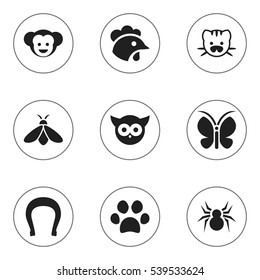 Set Of 9 Editable Zoo Icons. Includes Symbols Such As Baboon, Beast, Talisman And More. Can Be Used For Web, Mobile, UI And Infographic Design.