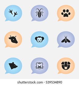 Set Of 9 Editable Zoo Icons. Includes Symbols Such As Bug, Forepaw, Bull And More. Can Be Used For Web, Mobile, UI And Infographic Design.