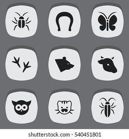 Set Of 9 Editable Zoo Icons. Includes Symbols Such As Grizzly, Bird, Beast And More. Can Be Used For Web, Mobile, UI And Infographic Design.