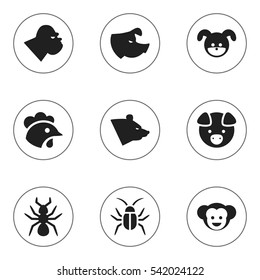 Set Of 9 Editable Zoo Icons. Includes Symbols Such As Sow, Chimpanzee, Grizzly And More. Can Be Used For Web, Mobile, UI And Infographic Design.