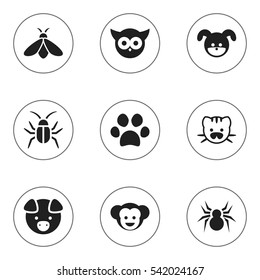 Set Of 9 Editable Zoo Icons. Includes Symbols Such As Baboon, Honey, Bird And More. Can Be Used For Web, Mobile, UI And Infographic Design.