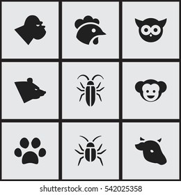 Set Of 9 Editable Zoo Icons. Includes Symbols Such As Bull, Grizzly, Cockroach And More. Can Be Used For Web, Mobile, UI And Infographic Design.