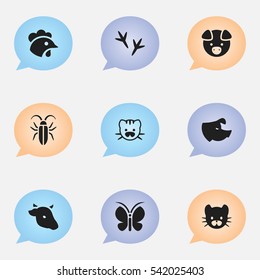 Set Of 9 Editable Zoo Icons. Includes Symbols Such As Feline, Sow, Bull And More. Can Be Used For Web, Mobile, UI And Infographic Design.