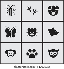 Set Of 9 Editable Zoo Icons. Includes Symbols Such As Bird, Grizzly, Moth And More. Can Be Used For Web, Mobile, UI And Infographic Design.